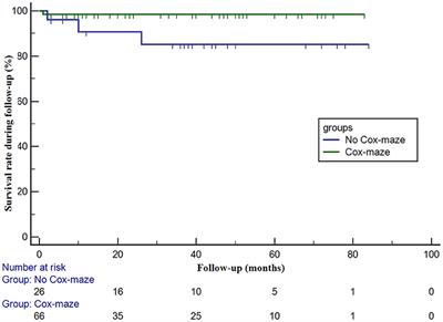 Clinical Efficacy and Safety of Cox-Maze IV Procedure for Atrial Fibrillation in Patients With Hypertrophic Obstructive Cardiomyopathy